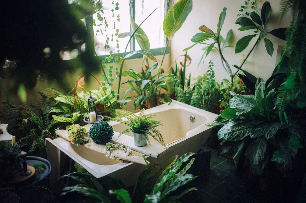 sustainable living ideas bathroom