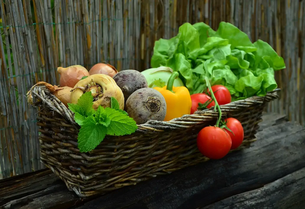 sustainable living ideas gardening