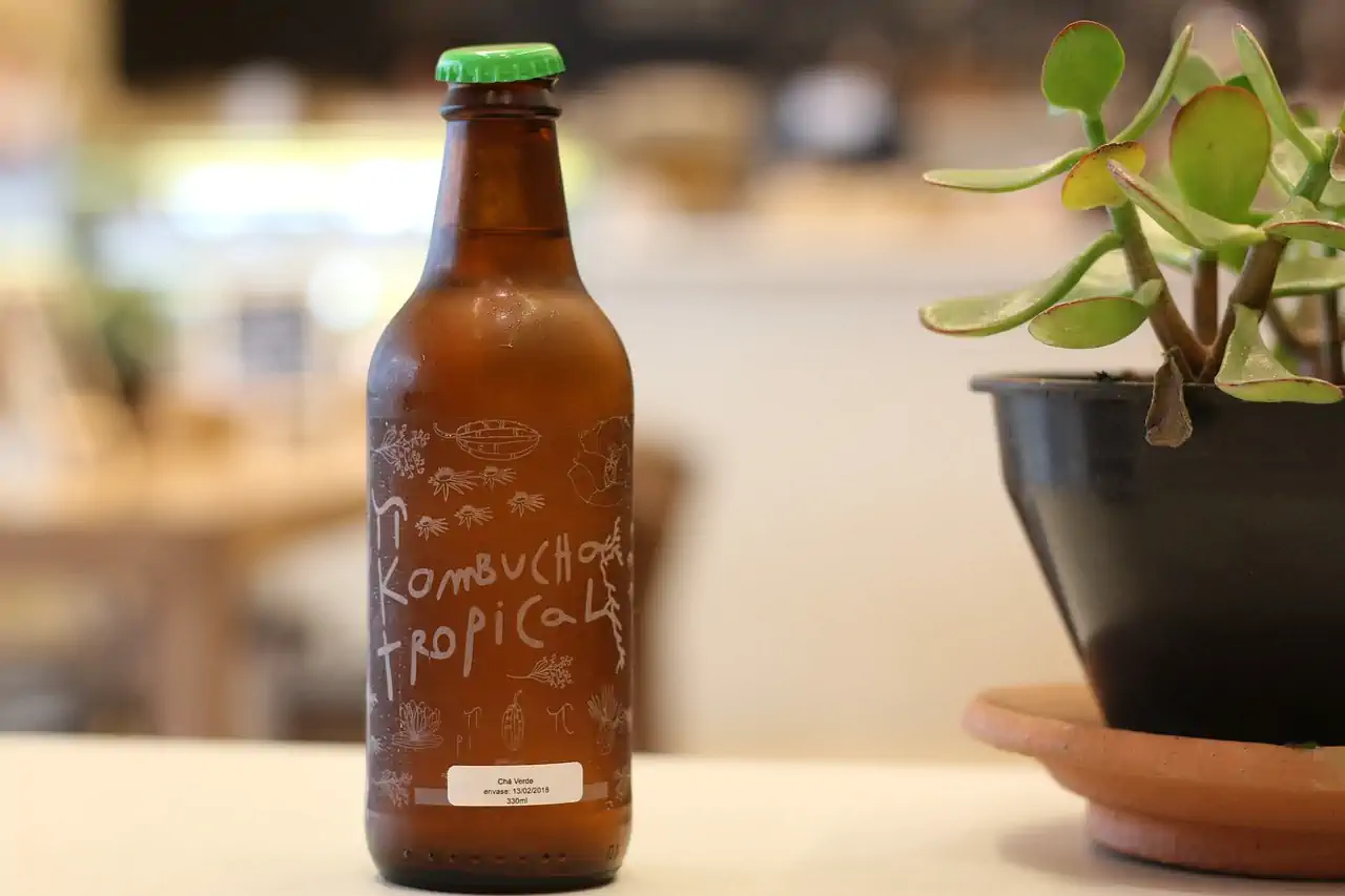 probiotic food for gut health kombucha