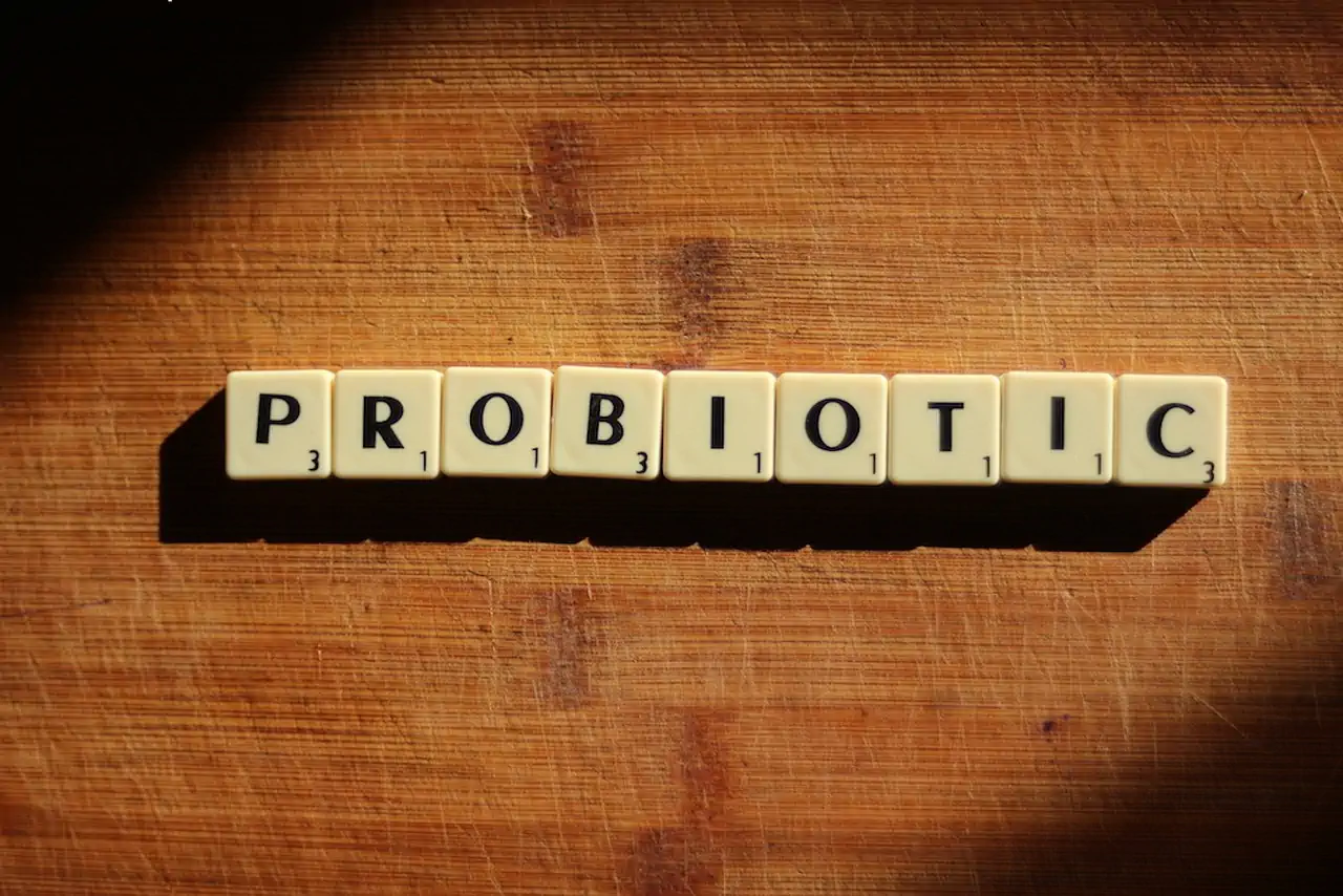 probiotic food for gut health